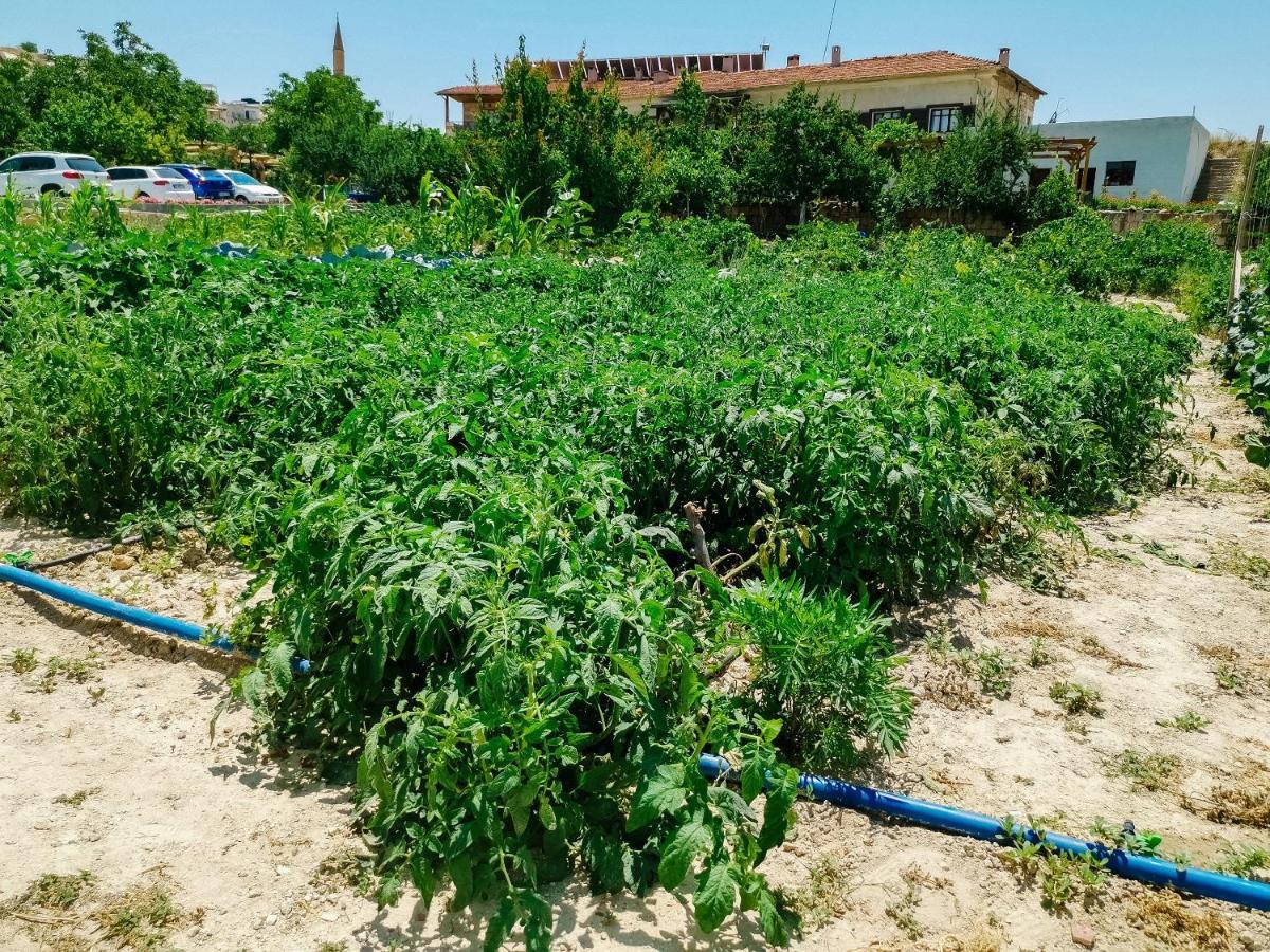 Garden Inn Cappadocia Γκόρεμε Εξωτερικό φωτογραφία
